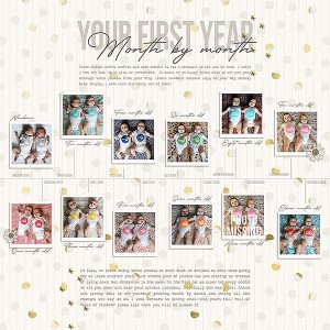 MOC 8.20  - Your First Year, Month By Month