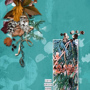 2020-MOC#21_Organic-Botanicals_web
