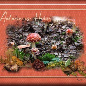 January 21: Organic Botanicals -ATC-2020-011-Autumn-is-Here