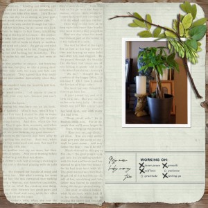 January 21- Organic Botanicals