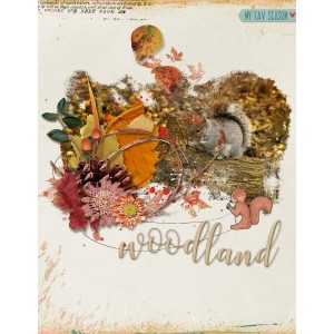 January 21 - Organic Botanicals