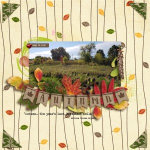 SwL_VarietyTemp-ka-autumn--bg-gowild