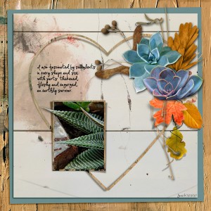 Day 21 - Organic Botanicals_succulents