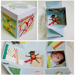 My boy- BYOC box