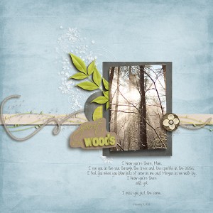 spirit in the woods (dedicated to my Mom)