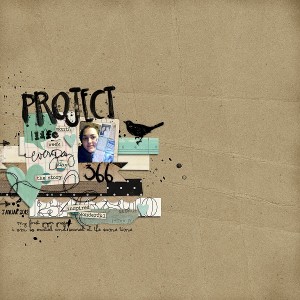 project life
