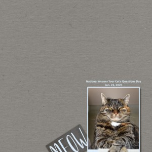 MOC-22_Meow-1