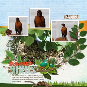 _MOC-D21-Summer-of-the-Birds
