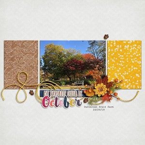 fall is my favorite color