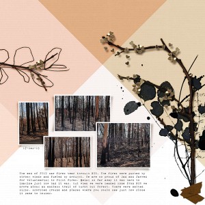 MOC8 Day 8 | Burnt Trees