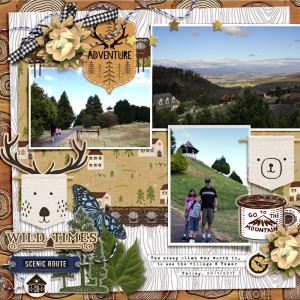 FDD Jan Designer Chall - mountain view