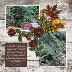 JANUARY 21 - ORGANIC BOTANICALS CHALLENGE