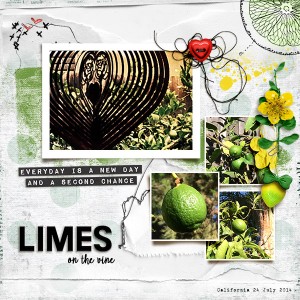 Limes on the Vine