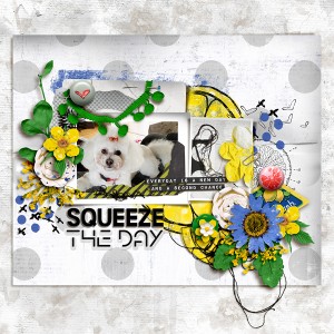 Squeeze The Day