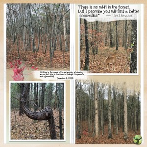 MOC8-16-Quote-FranklinWoods120219-WEB