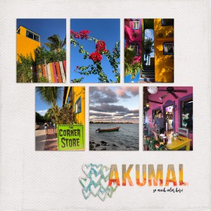 Challenge 23 paint dipping Akumal colors