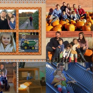 Bob's Corn and Pumpkin Farm
