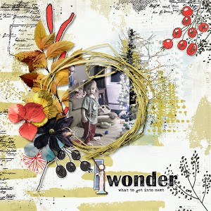 Wonder