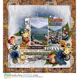 Brave MOC23