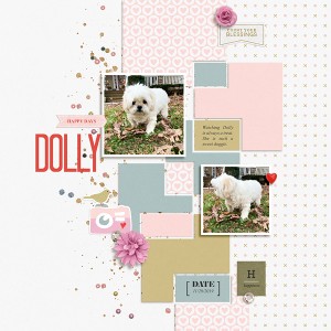 Dolly