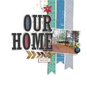 House Cover