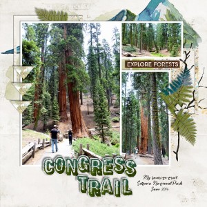 Congress Trail