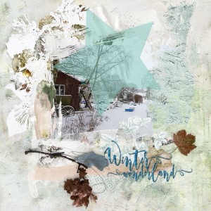 MOC 8 January 15 - Vellum Over Photos /Winter-Wonderland