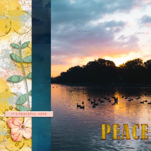 MOC 8.14 Peace