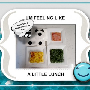 MOC-25_A-Little-Lunch