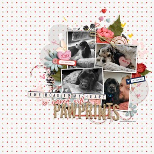 MOC 8-16 Pawprints On My Heart