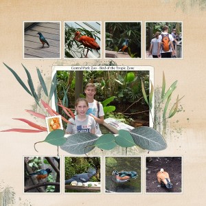 Birds at Central Park Zoo (MOC8 - Day 21)