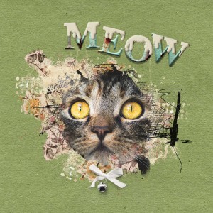 MOC 8 JANUARY 23: Paint Dipping /MEOW