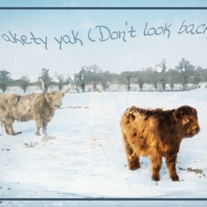 MOC-27_Yakety-Yak