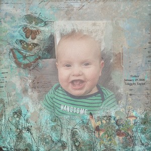 DAY 27 PAINTSTROKE PICTURE