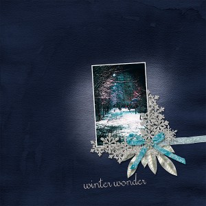 winter wonder