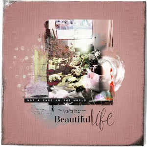 Beautiful Life