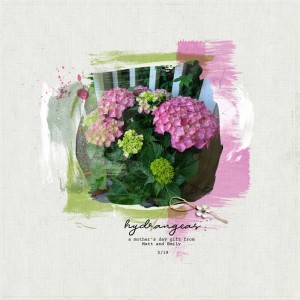 Hydrangeas - MOC Day 27 - Paintstroke Picture
