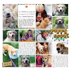 Puppy Scout