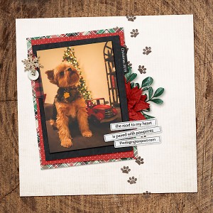 MOC8-16_Quote_Pup