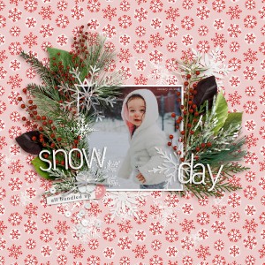 MOC 8-21 Snow Day