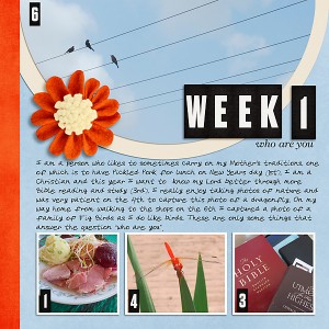 P52_2020Week1_Who are You