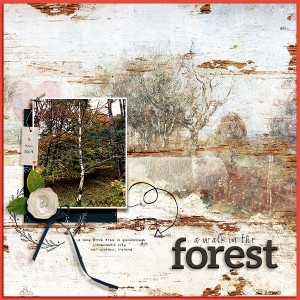 A Walk in the Forest
