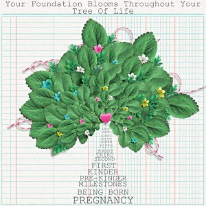 TLP_MOC8_8_BuildYourOwnTree