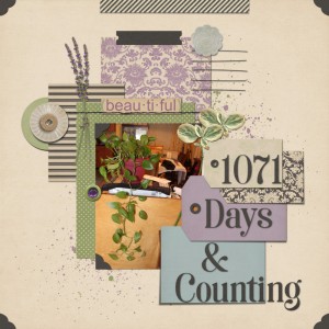 1071 Days & Counting