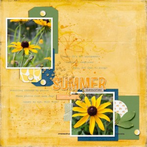 MOC29templates2
