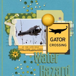 MOC-29_Water-Hazard