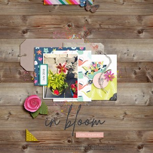 In Bloom moc29