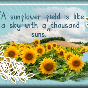 January 30: Cut File - ATC-2020-017-A-Sunflower-Field