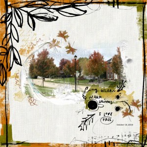 MOC8_day 27 Fall day