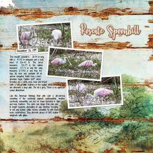 2020 MOC Day30 Cut File - Roseate Spoonbill